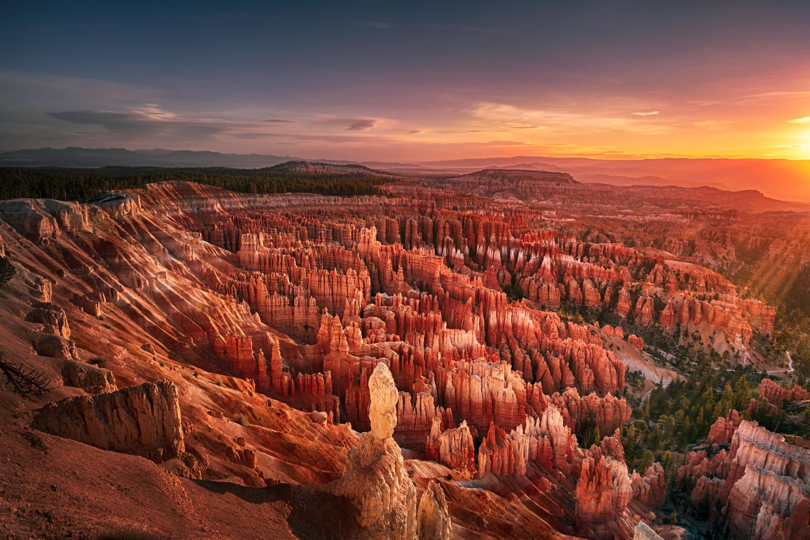 Bryce Canyon & Zion National Park Tour