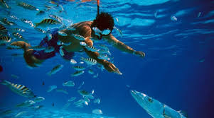 Cozumel Island Diving & Snorkeling Tour